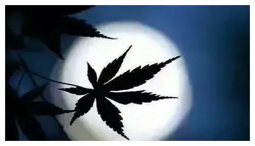 职场说话有讲究，管好你的嘴，学会这些不吃亏休闲区蓝鸢梦想 - Www.slyday.coM