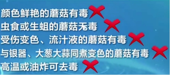 昆明一办公室内长出巨大蘑菇,网友:云南那么神奇吗?休闲区蓝鸢梦想 - Www.slyday.coM 昆明一办公室内长出巨大蘑菇,网友:云南那么神奇吗?休闲区蓝鸢梦想 - Www.slyday.coM