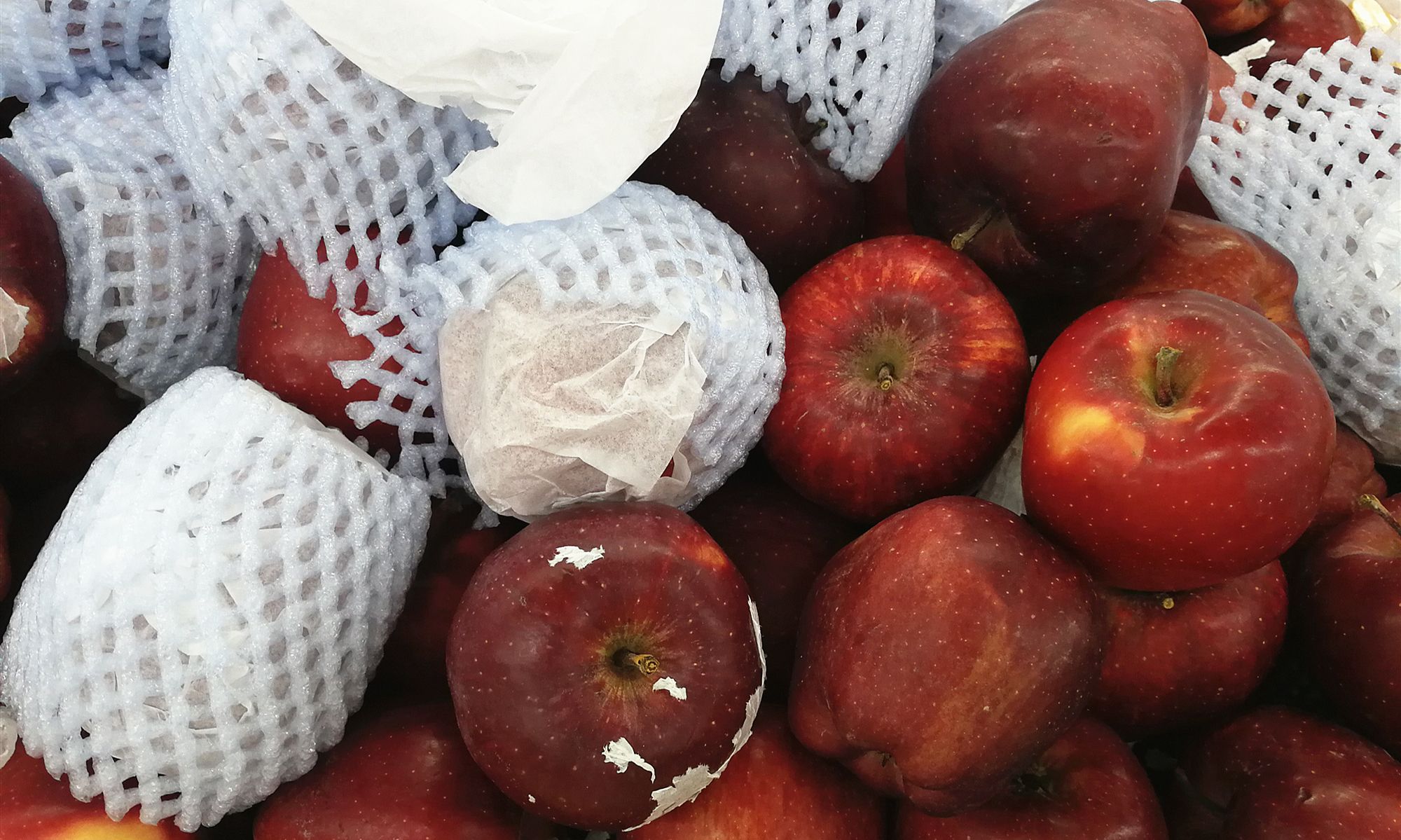 因滞销闻名的花牛苹果,果园几毛一斤没人收,超市还卖4块5_高清图集