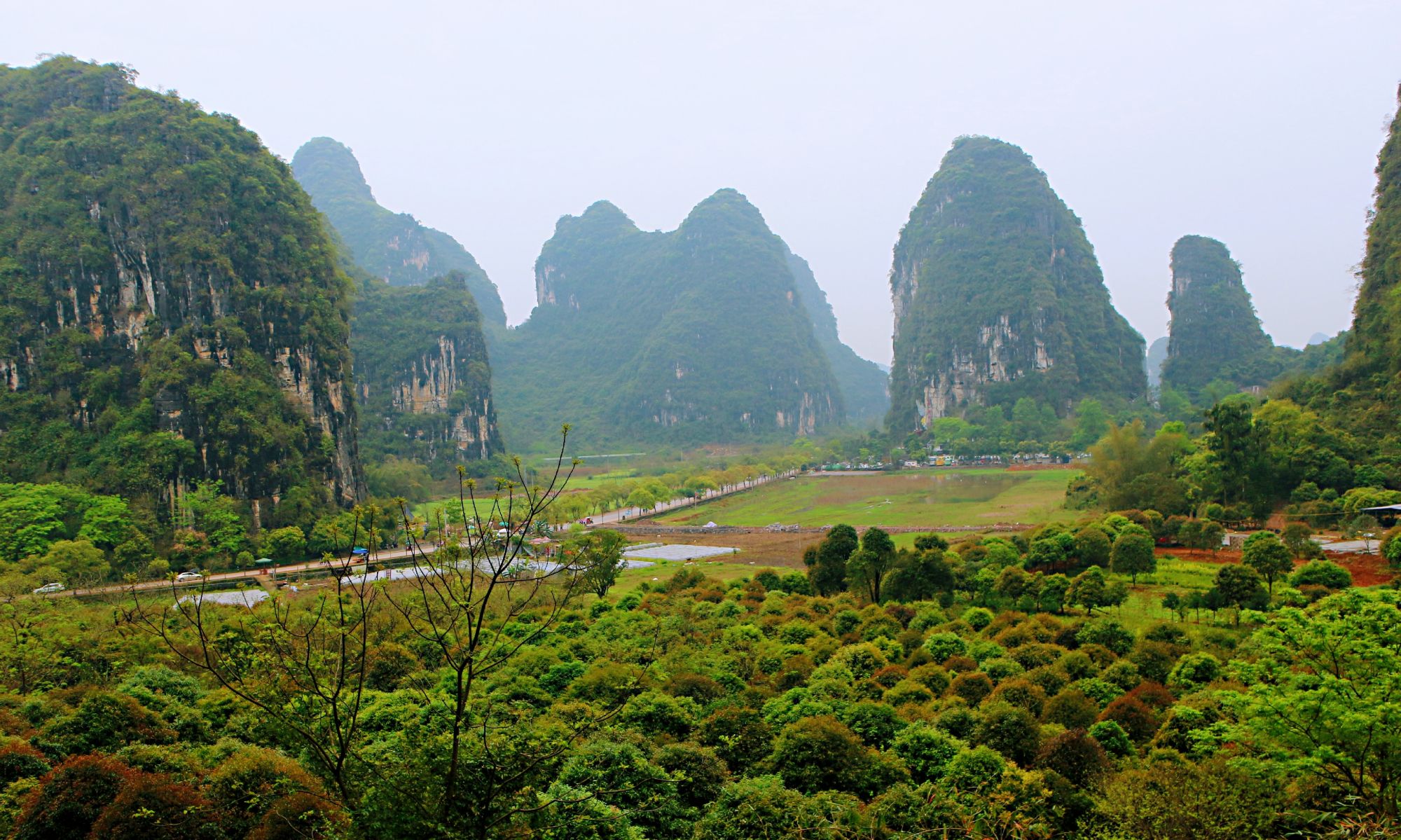 骑行阳朔十里画廊，感受阳朔山水的魅力