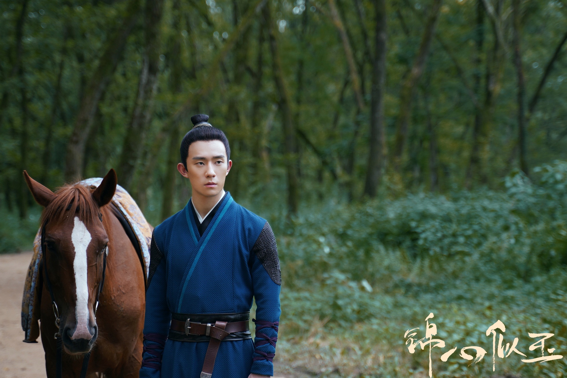 正文  郑好自出道至今主演过不少高人气的作品,无论是古装题材《少年