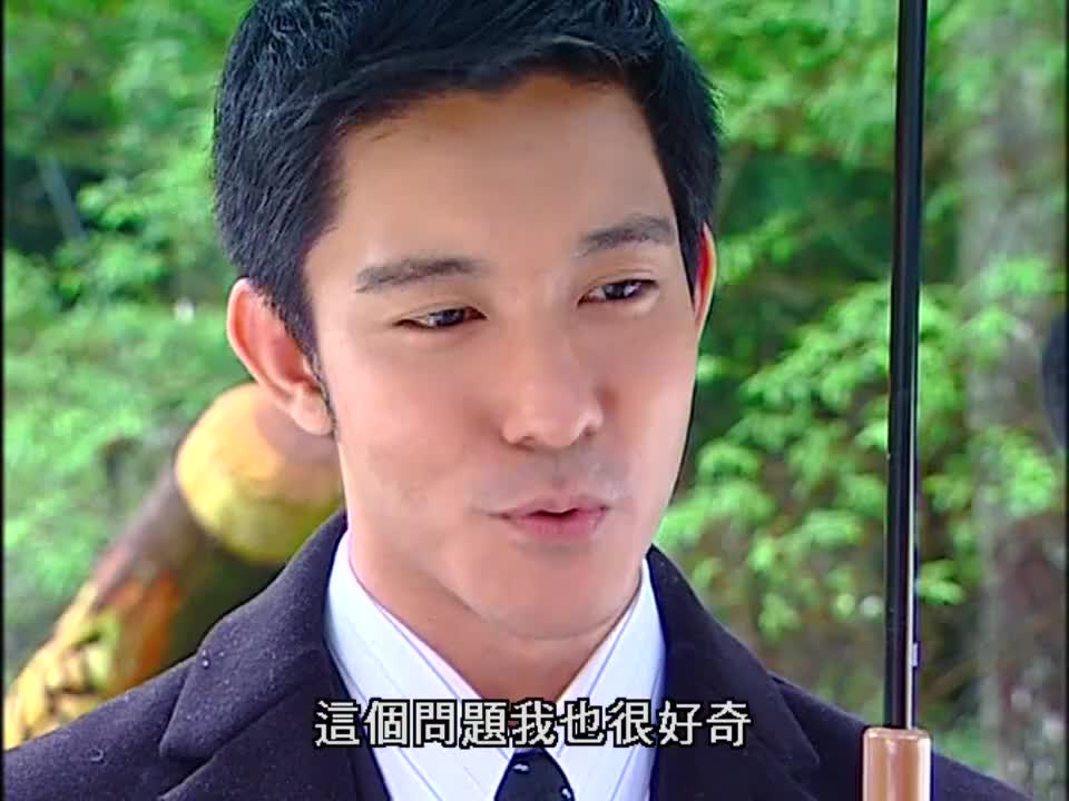 绿光森林威廉终于明白儿时约定的人是苏菲结果苏菲故意逃避