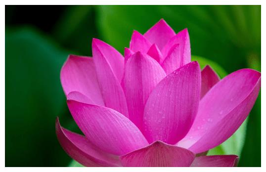 2022年2月份事业步步高升生活顺风顺水兴家业发大财的4属相