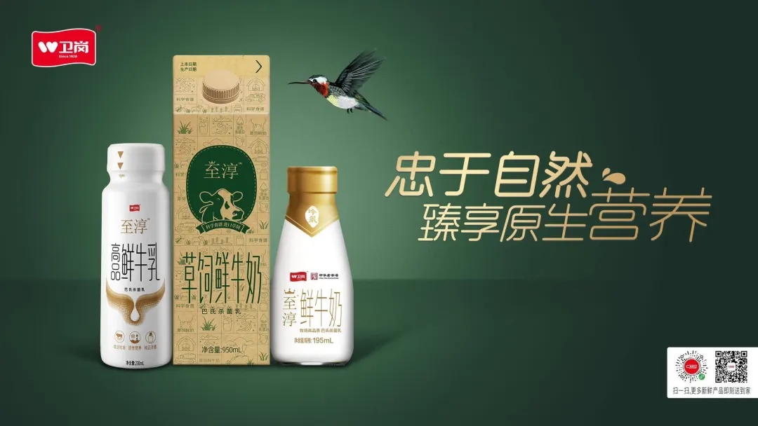 卫岗乳业斩获科技奖用百年坚守的鲜活力量匠心传承