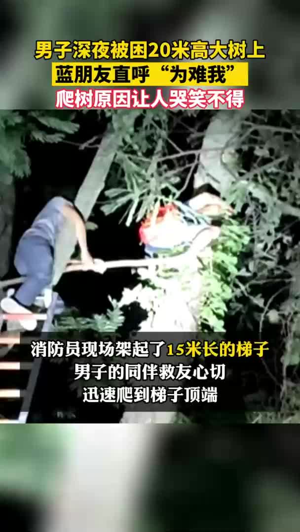 爬树摘蜂窝，男子凌晨被困20米高大树上，被困半小时消防架梯解救