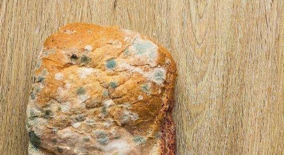 一次涉入20毫克就可能致命,属于一级致癌物,这些食品都可滋生|黄曲霉