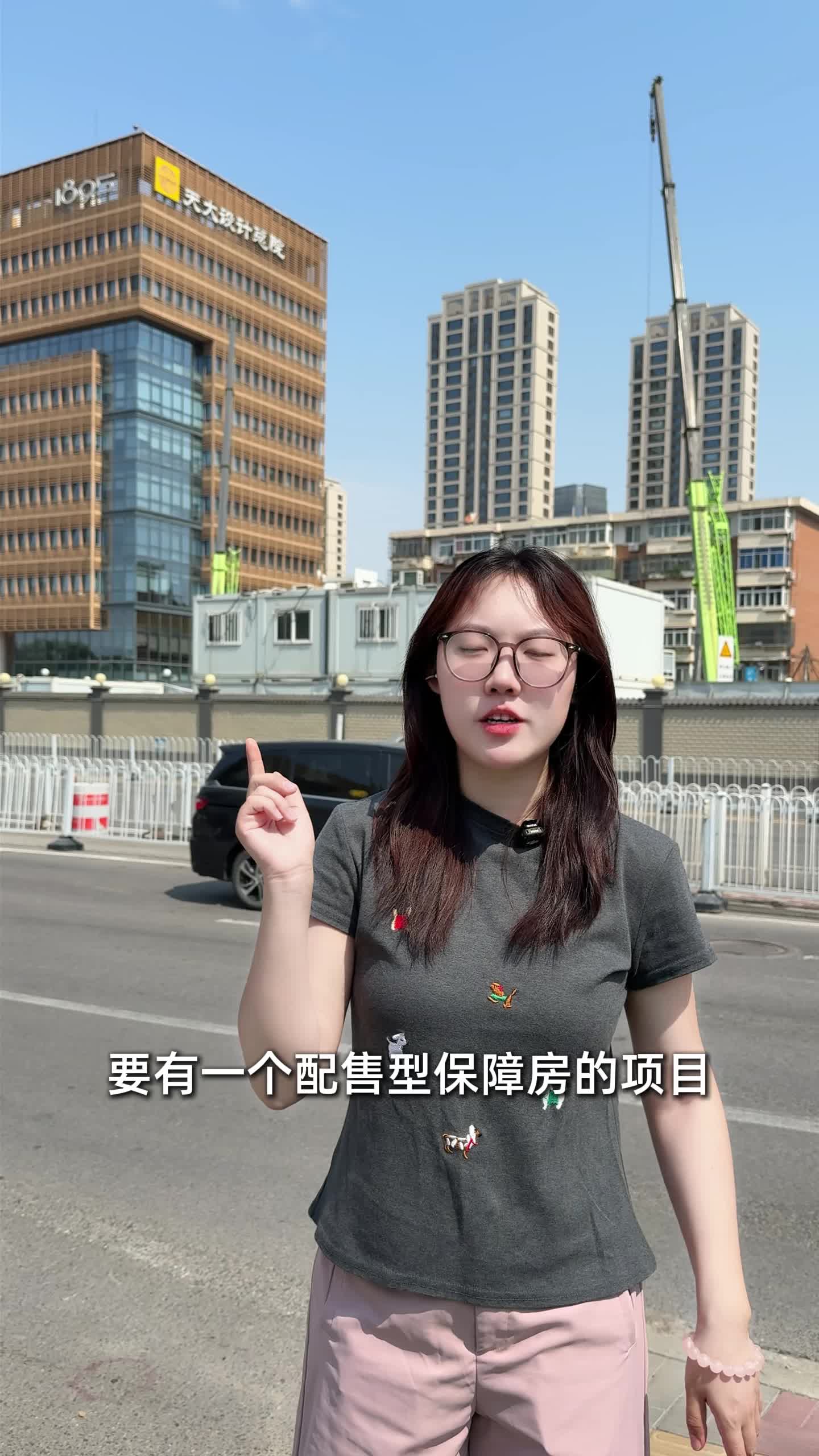 六里台TOD配售型保障房的重要进展