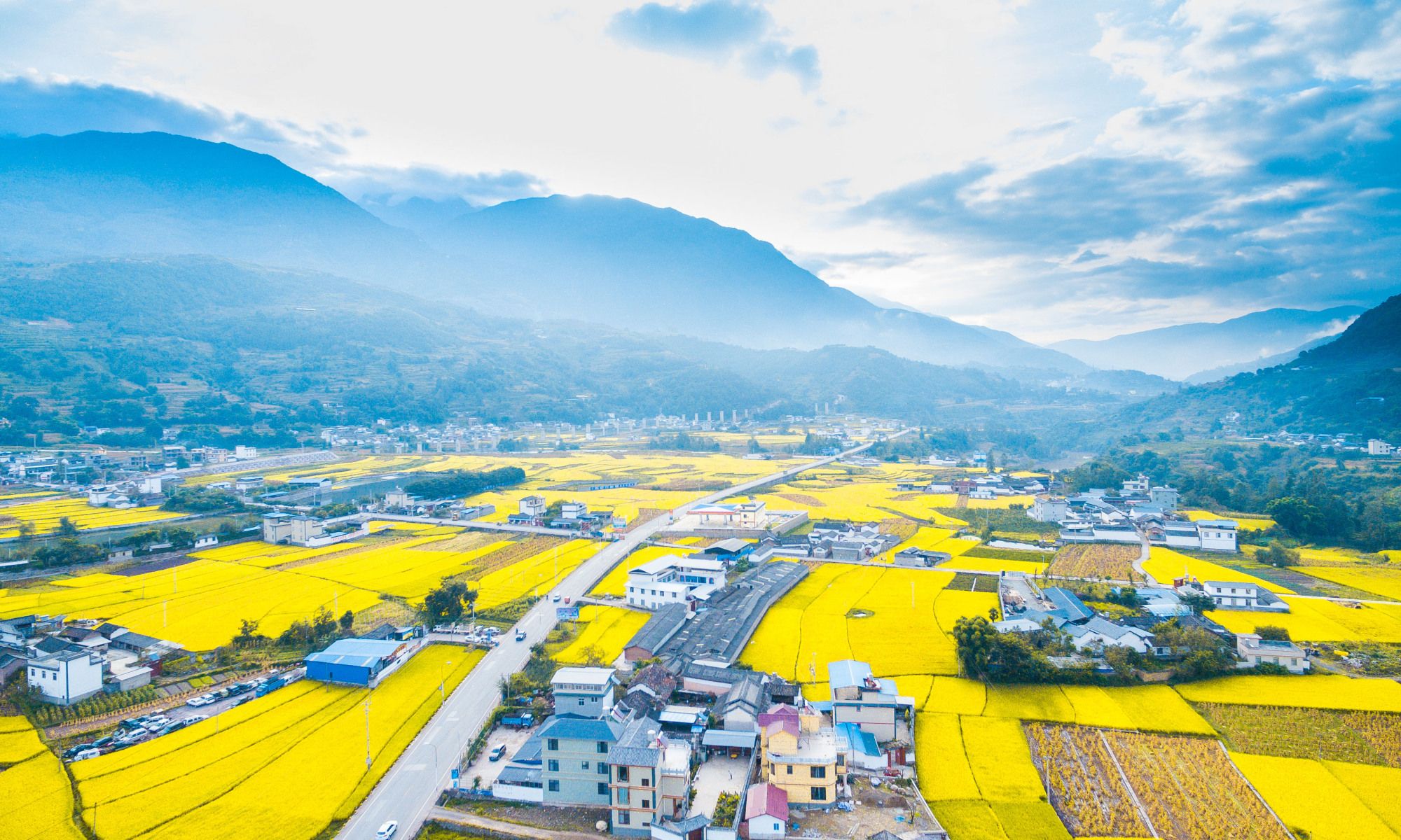 大理水稻田,美得就像上帝苦心的安排_高清图集_新浪网