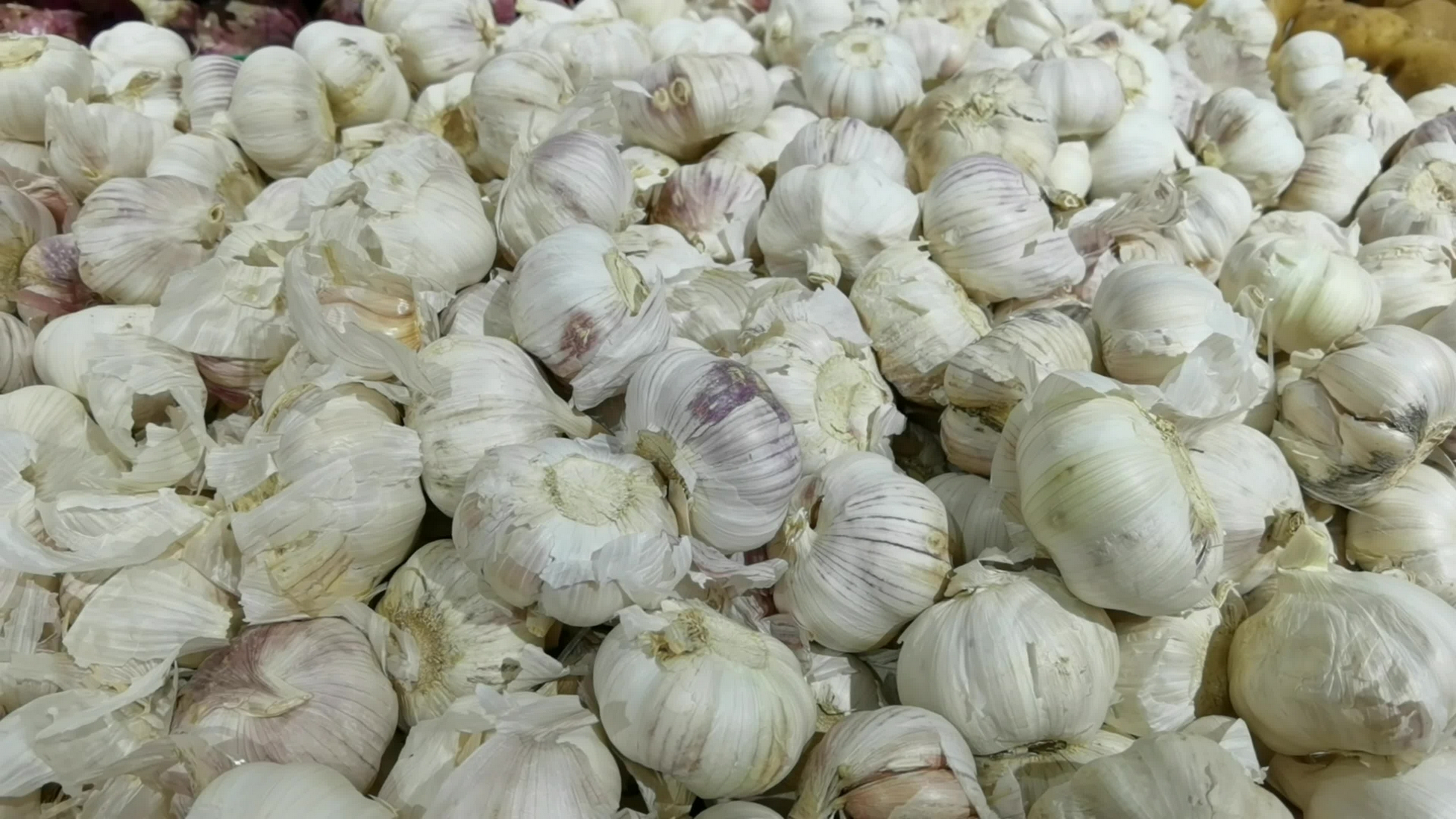 买大蒜时,切记这几种大蒜别再买了,老蒜农说漏嘴了,太实用了