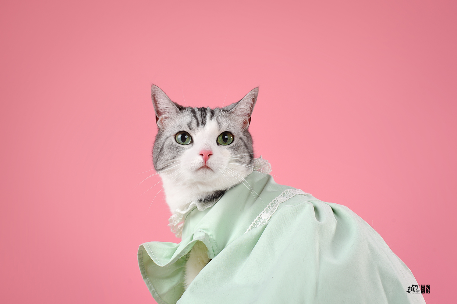 诶嘿～小红书滴网红喵喵来拍照哦～我不说名字,你们知道是谁么_高清