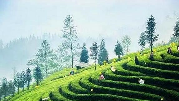 宜宾人口_四川城区常住人口最新排行榜:绵阳、南充、宜宾已进入大城市行列