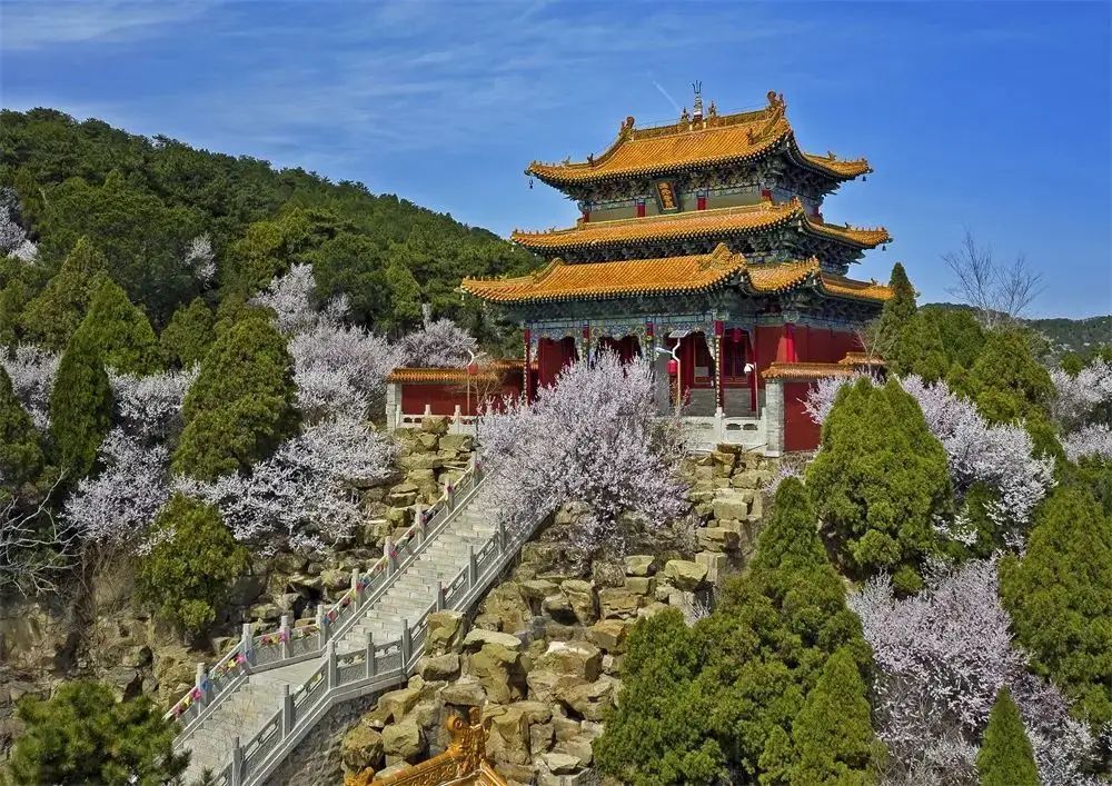山西春游踏青好去处乌金山旅游攻略低音号免费语音导游 罕山 乌金山 林海 新浪新闻