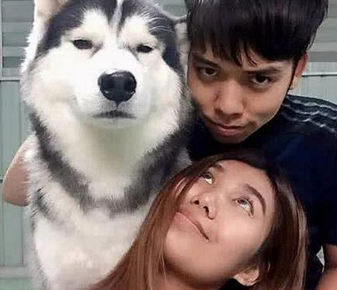 女主和男友还有哈士奇合照,突然发现二哈不对劲,仔细一看傻眼了