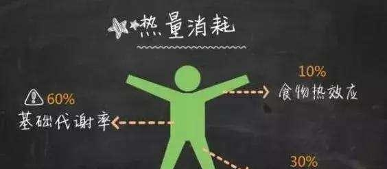 屡次节食减肥,没有效果?提高人体基础代谢,才是高效减脂的法宝休闲区蓝鸢梦想 - Www.slyday.coM 屡次节食减肥,没有效果?提高人体基础代谢,才是高效减脂的法宝休闲区蓝鸢梦想 - Www.slyday.coM