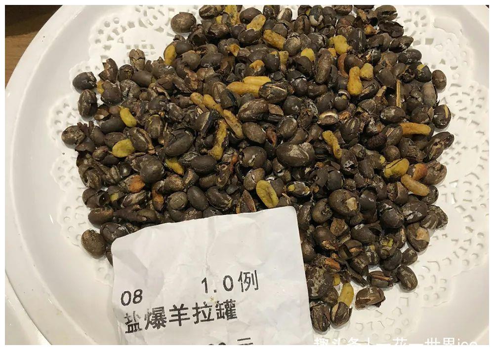 杨拉罐一般生长在杨树,榆树等树木的树枝或者树干上,有些小灌木上也有