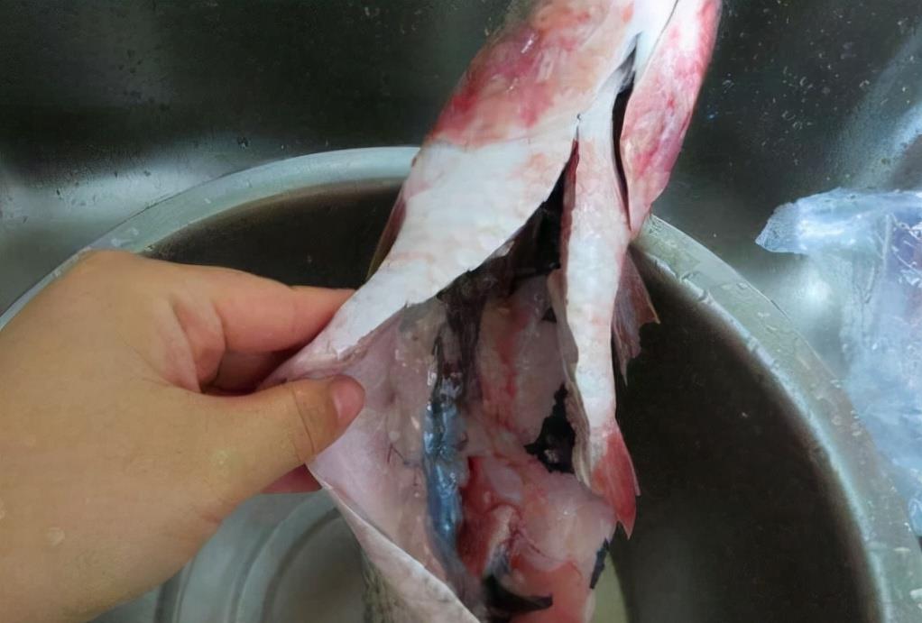不管做啥鱼这5个部位要去掉多数人不懂难怪鱼腥味重不好吃