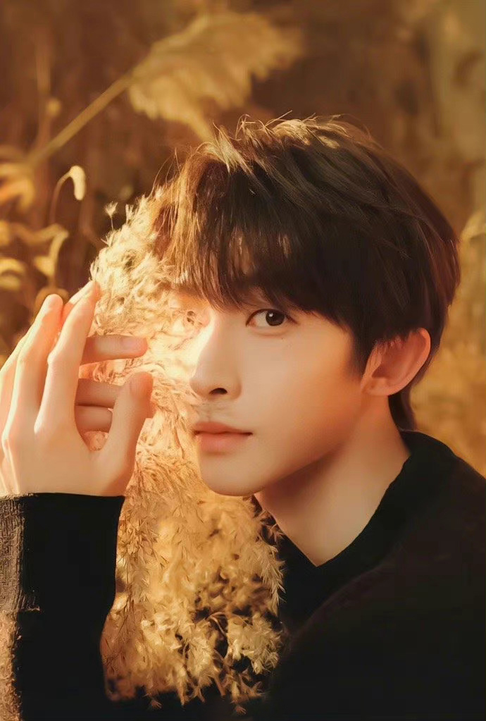 刘宇秋日落叶氛围感大片,阳光洒在脸上浪漫又温暖