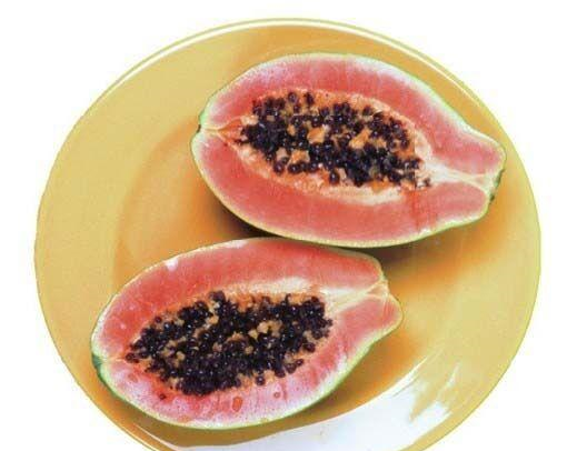 木瓜新做法，美味又营养，关键还能美容润肤，女孩子吃了好处多多休闲区蓝鸢梦想 - Www.slyday.coM