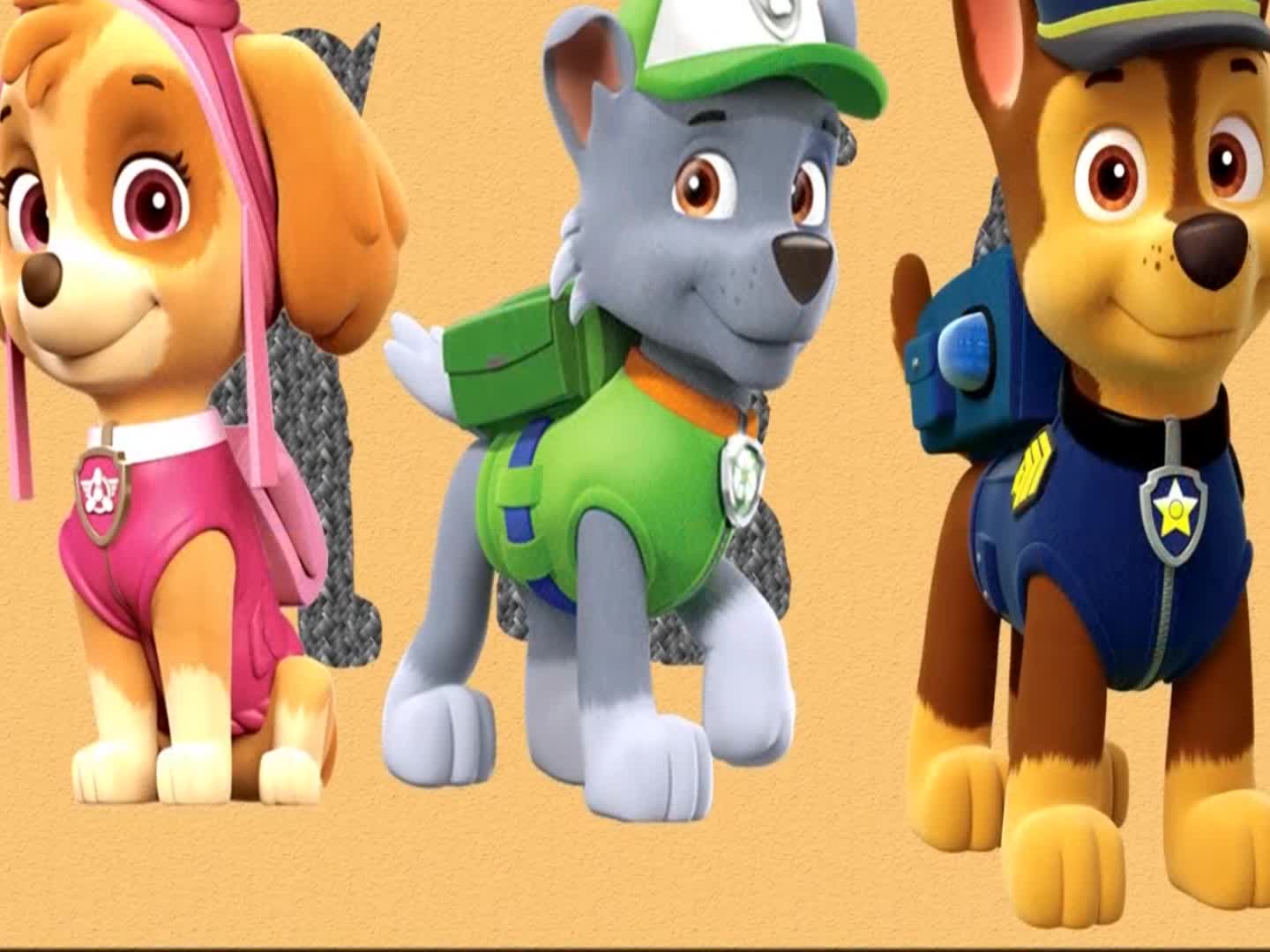 你能帮汪汪队阿奇灰灰和天天找到正确的影子吗益智早教拼图