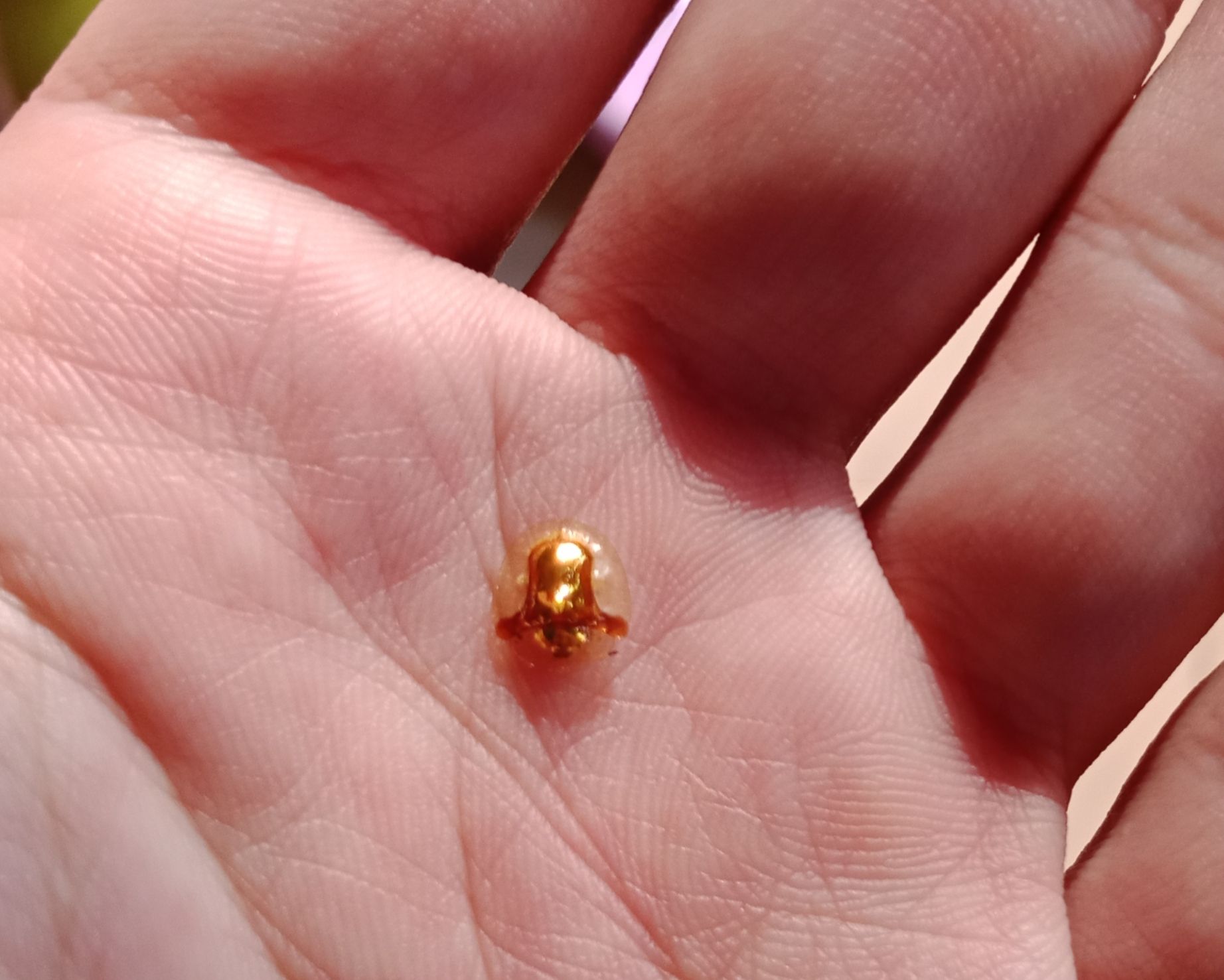 会动的黄金 请问这是什么情况