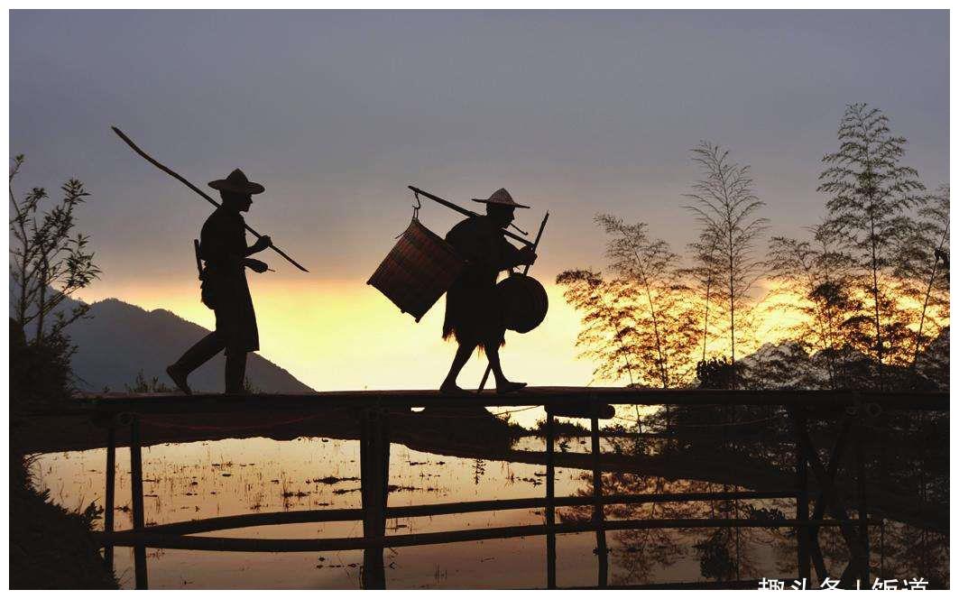 为什么古代没有土地的农民不自己开荒?背后更多是无奈