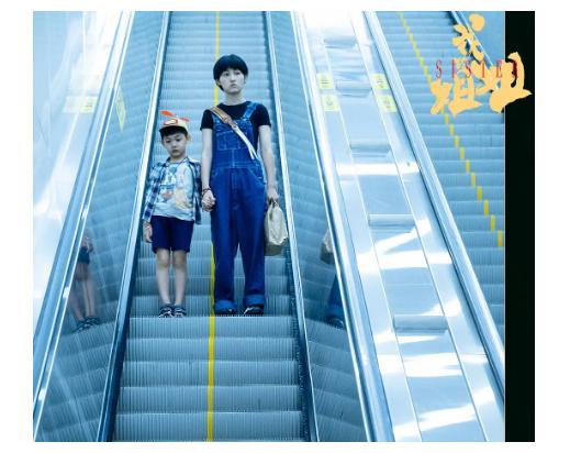 2021年流泪最多的电影？票房告捷，《我的姐姐》评分7.6休闲区蓝鸢梦想 - Www.slyday.coM