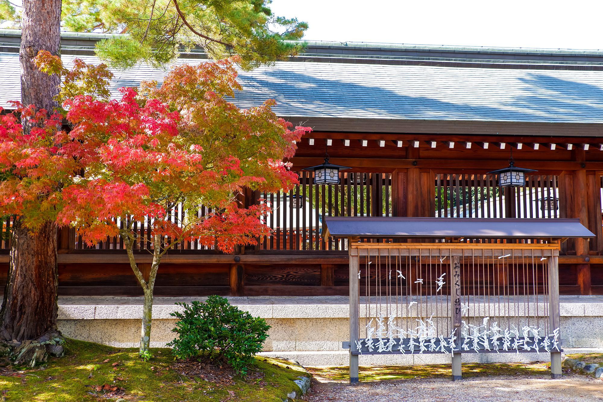 日本建筑之奈良橿原神宫 日本建筑之奈良橿原神宫