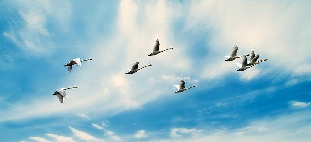 韦应物20多岁才开始学作诗,后自成一体:学习从何时开始都不晚休闲区蓝鸢梦想 - Www.slyday.coM 韦应物20多岁才开始学作诗,后自成一体:学习从何时开始都不晚休闲区蓝鸢梦想 - Www.slyday.coM