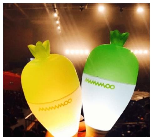 有应援棒的女团,智齿棒,天使棒,萝卜灯,粉锤,你最喜欢哪家?