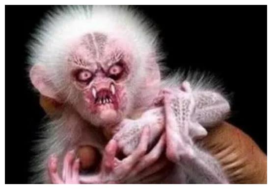 老人常说的水猴子是什么真是水鬼找人顶命专家终于研究出来了