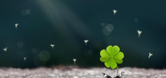 能够原谅老公出轨的三大星座，是真的豁达，还是另有“算计”？休闲区蓝鸢梦想 - Www.slyday.coM