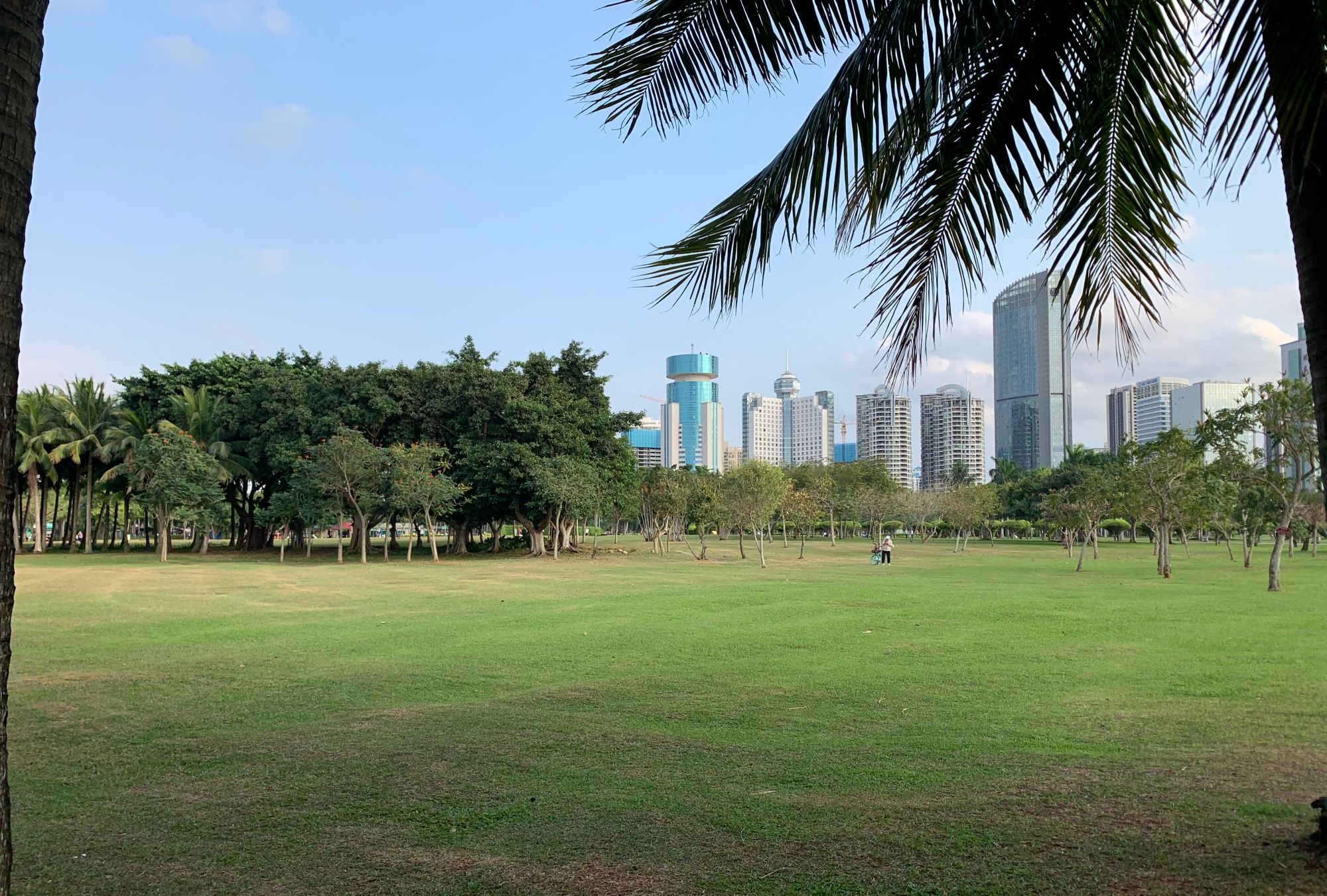 萬綠園的夏季,戶外休閒的好去處_高清圖集_新浪網