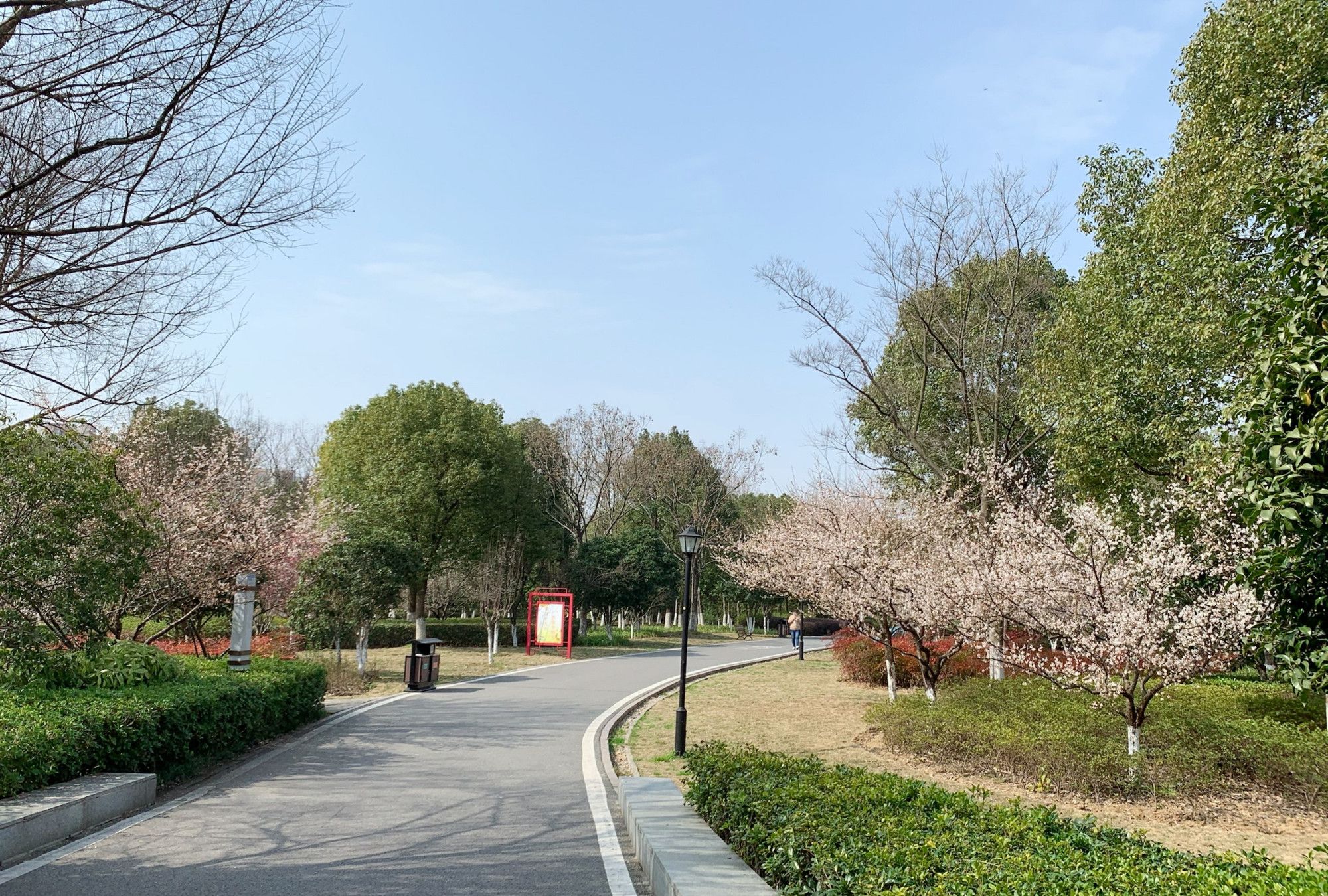 芜湖城东的大阳垾湿地公园,你来过没有