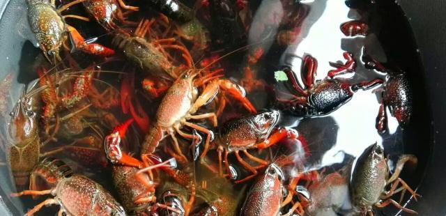 想吃龙虾不会做怎么办?我来教你做麻辣小龙虾,麻辣过瘾越吃越香休闲区蓝鸢梦想 - Www.slyday.coM 想吃龙虾不会做怎么办?我来教你做麻辣小龙虾,麻辣过瘾越吃越香休闲区蓝鸢梦想 - Www.slyday.coM