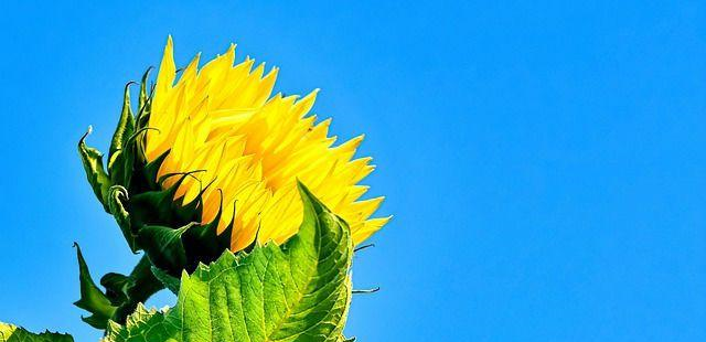 喜欢一个人时根本隐藏不了的星座,双鱼情难自已,摩羯结结巴巴休闲区蓝鸢梦想 - Www.slyday.coM 喜欢一个人时根本隐藏不了的星座,双鱼情难自已,摩羯结结巴巴休闲区蓝鸢梦想 - Www.slyday.coM