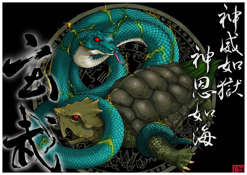天之四灵是哪四个奇珍异兽呢 青龙 白虎 朱雀 玄武 财经头条 天之四灵是哪四个奇珍异兽呢 青龙 白虎 朱雀 玄武 财经头条