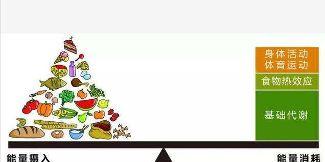 屡次节食减肥,没有效果?提高人体基础代谢,才是高效减脂的法宝休闲区蓝鸢梦想 - Www.slyday.coM 屡次节食减肥,没有效果?提高人体基础代谢,才是高效减脂的法宝休闲区蓝鸢梦想 - Www.slyday.coM