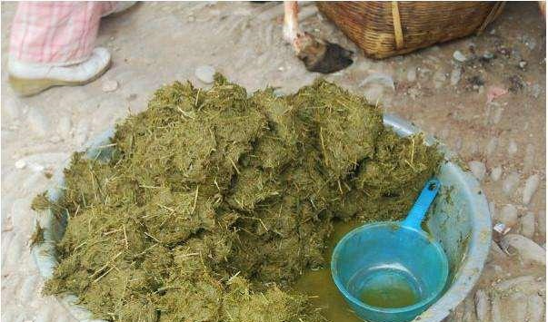 牛|牛屎|南方人_新浪新闻