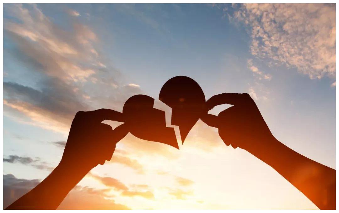 动物界九大爱心母亲都是谁?...