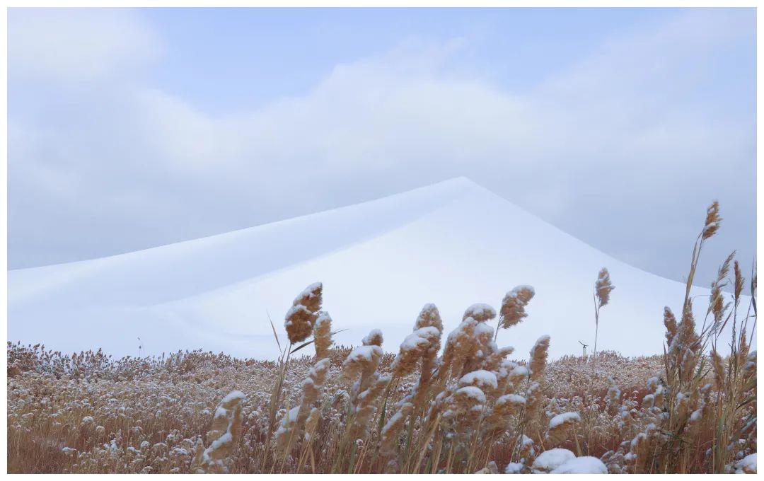 雪落敦煌沙雪交融那只属于冬日沙漠的诗情画意