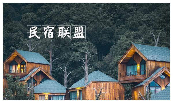 民宿联盟休闲养生畅享美好时光营口桃林民宿