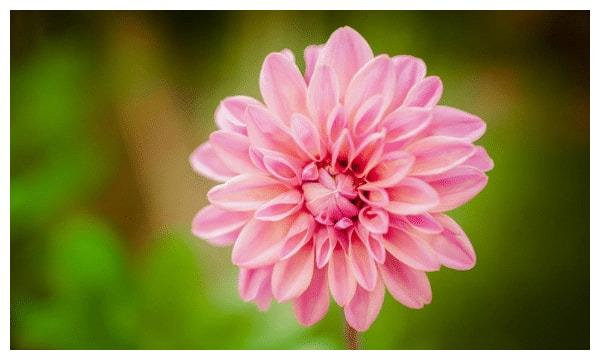 12月19日 12月26日 3大生肖喜结良缘 事业顺利 财源滚滚进家门 平安 家门 生肖 新浪新闻 12月19日 12月26日 3大生肖喜结良缘 事业顺利 财源滚滚进家门 平安 家门 生肖 新浪新闻