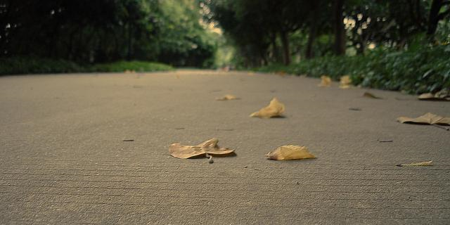 能够原谅老公出轨的三大星座，是真的豁达，还是另有“算计”？休闲区蓝鸢梦想 - Www.slyday.coM