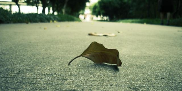 能够原谅老公出轨的三大星座，是真的豁达，还是另有“算计”？休闲区蓝鸢梦想 - Www.slyday.coM