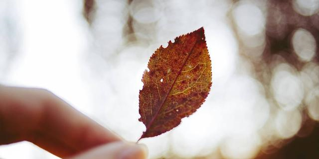 能够原谅老公出轨的三大星座，是真的豁达，还是另有“算计”？休闲区蓝鸢梦想 - Www.slyday.coM