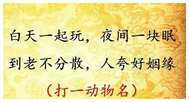 猜谜语:泥里一条龙,头顶一个蓬(植物)|谜语|一条龙|头顶_新浪新闻