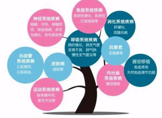 消之宝