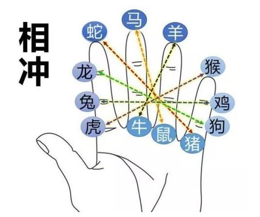 掐指一算十二地支掌诀图