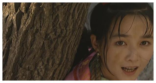 《雍正王朝》翠儿让李卫上书保年羹尧,为什么李卫说她是妇人之见