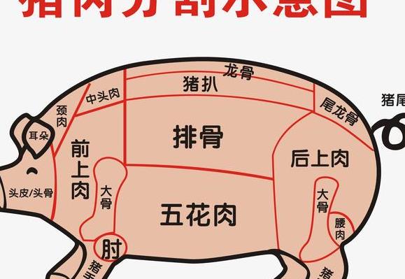 买猪肉 内行专挑这四个部位 老板一看就是懂行的 不敢忽悠